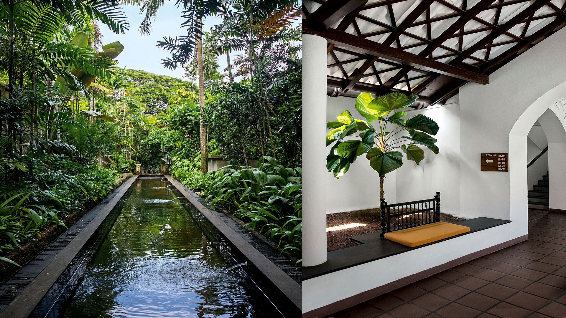 tropical modernism 2